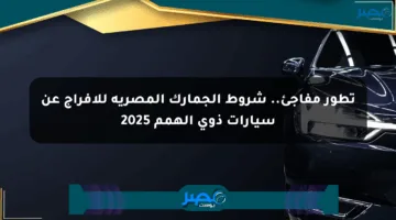 تطور مفاجئ.. شروط الجمارك المصرية للإفراج عن سيارات ذوي الهمم 2025